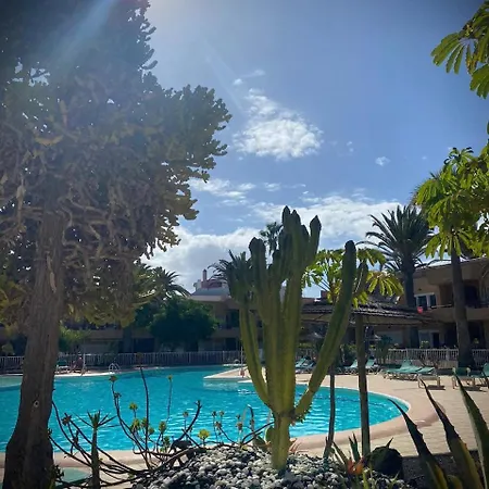 Appartamento Aloe *