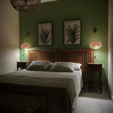 Aloe Apartment