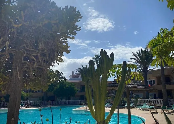 דירה Aloe *