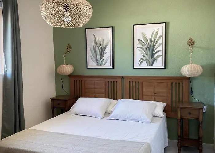 Aloe קורלחו