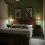 Aloe Daire