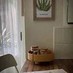 Aloe Daire Corralejo